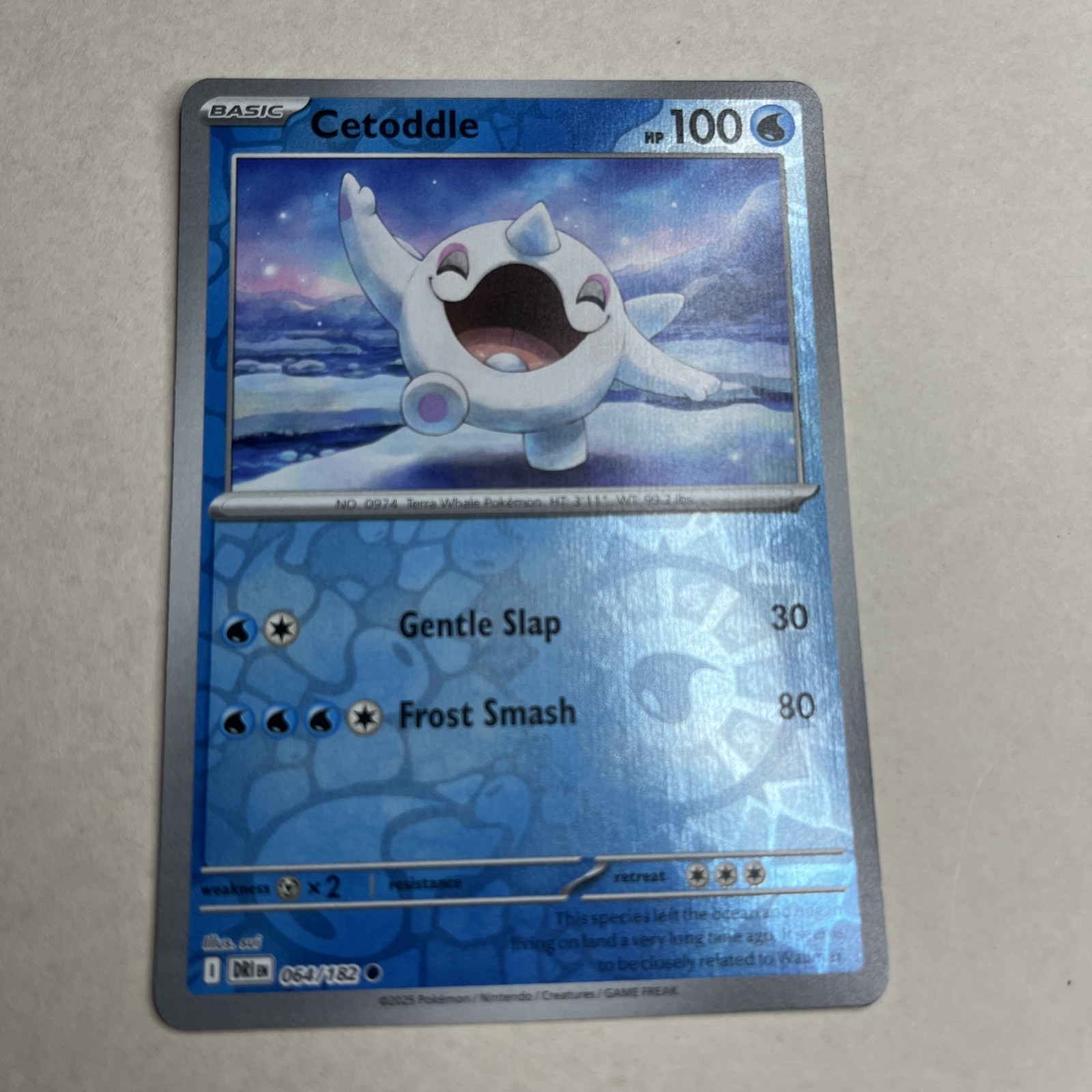 Cetoddle 064/182 Reverse Holo Pokemon Card 