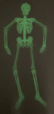 Vintage Glow in the Dark Jointed Skeleton 35” Poseable Halloween Wall Decor
