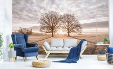 3D Sunshine Trees O269 Wallpaper Wall Mural Self-adhesive Assaf Frank Fay