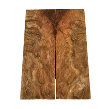 Asian Satin Burl Exotic Wood Knife Handle Scale Blank   54  159  17 mm  265 