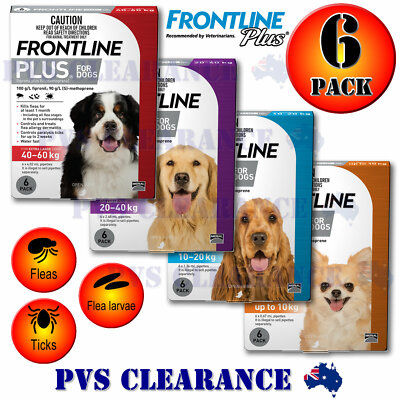 frontline plus purple
