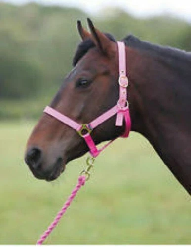 Pink Nylon Horse Headcollars & Halters