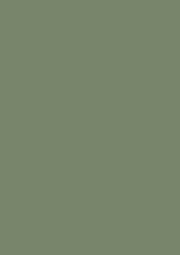 Farrow & Ball Modern Emulsion 5L, All 132 Colours Available, Mixed to Order - Picture 343 of 403