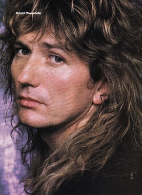 WHITESNAKE~DAVID COVERDALE~ORIG 1990 POSTER~FULL PAGE MAGAZINE PINUP CLIPPING
