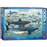 Sharks | Englisch | Spiel | 2022 | Eurographics | Ean 0628136600798