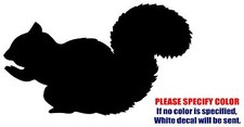 Squirrel Decal Sticker Vinyl JDM Funny Car Window Bumper Laptop tablet Tablet 7"