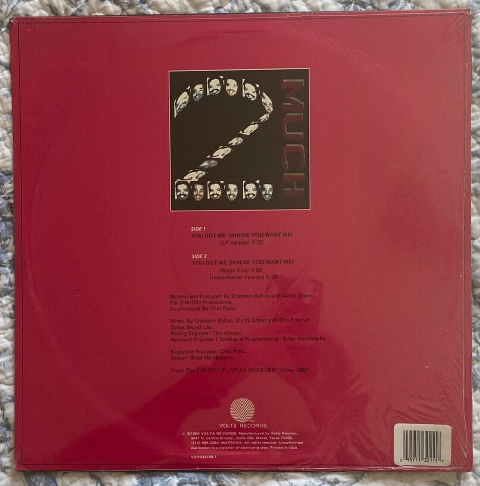 2 MUCH  "You Got Me" 12" EP on VOLTA * SEALED! MINT! Rare '89 TX NEW JACK SWING! Foto 2 de 3