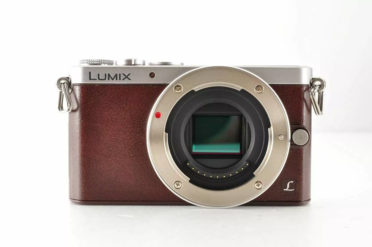 LUMIX GM