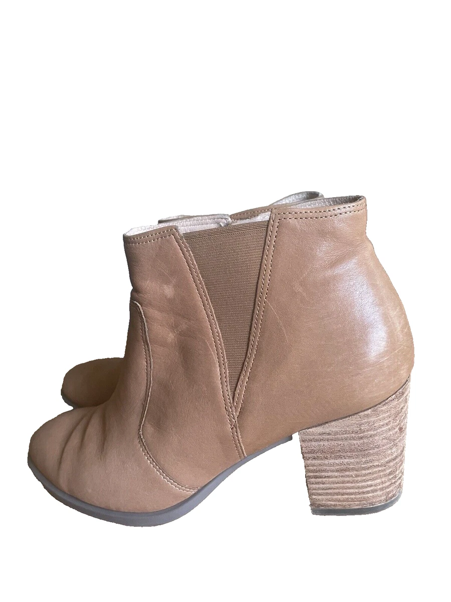 Ecco 39 store