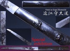  on The Hot Collector