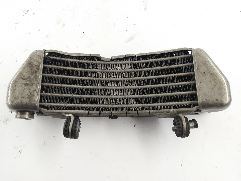 Ducati Monster S4R [2003] - Enfriador de aceite Foto 2 de 3