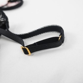 Agent Provocateur Leni Bra & Jaylin Brief Black Lace (Set of 2) - W Size 36B & 5