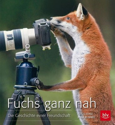 Buch: Fuchs ganz nah, Die Geschichte einer Freundschaft, Echle, Klaus, 2013, blv