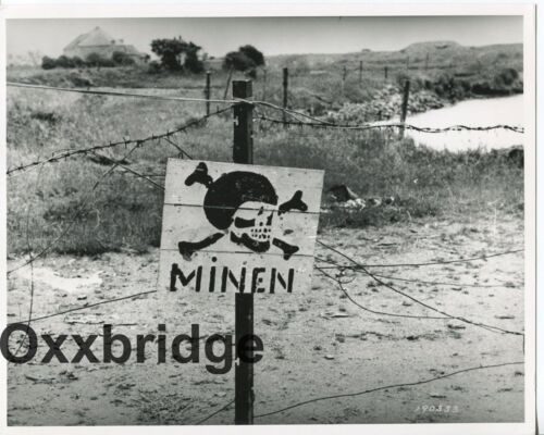 MINEFIELD danger crâne allemand os guerre mines commerce international photo mort - Photo 1 sur 2