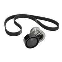 Keilrippenriemensatz SKF Vkma 36153