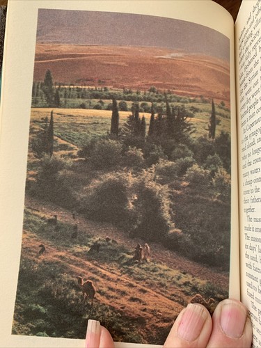 Reader's Digest Great Biographies Vols. II, & III ~Jesus, Washington, Twain EUC - Imagen 9 de 13