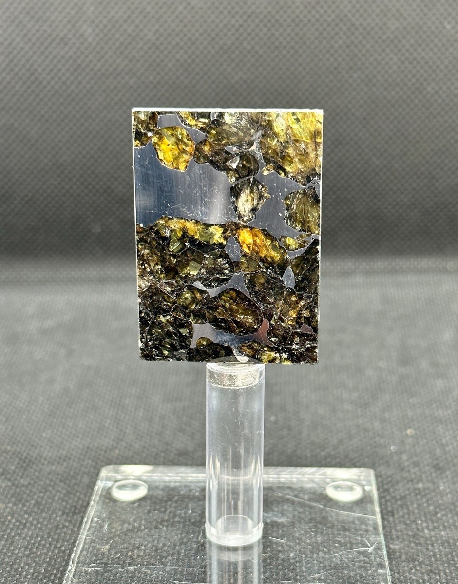 Seymchan 隕石　222g　メテオライト Seymchan Meteorite | Complete Slice Of A Seymchan Meteorite