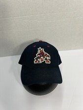 Vintage Phoenix Coyotes Snapback Hat Cap Logo Athletic OSFA NHL Arizona