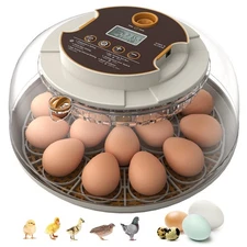 Incubators for Hatching Eggs,18 Egg Incubator with Automatic Egg Turning and .