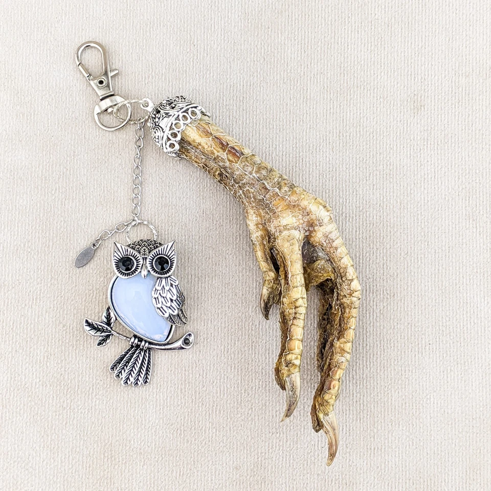 Gancho pie de pollo y búho ópalo búho encanto talismán taxidermia accesorio regalo Foto 2 de 4