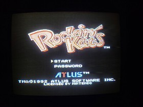 Rockin' Kats Nintendo NES CIB FRG