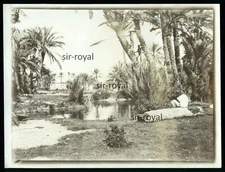 Egypt Circa 1910 - Gabes Oasis - 1900s 1910s - Photo 12x9cm