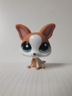 chihuahua lps