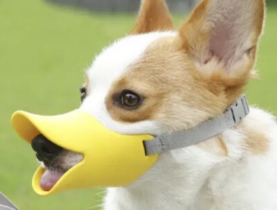 Pet Dog Muzzle Duck Mouth for Dog Anti Bite Mouth Cover Stop