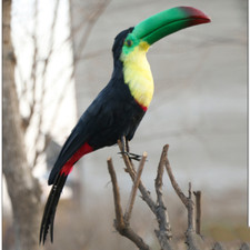 Simulation Feather Bird Toucan Brazilian Toucan Creative Decoration Window Decor