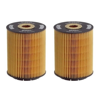 (2-Pack) Hengst Engine Oil Filter Insert w/ Seals E1001H D28