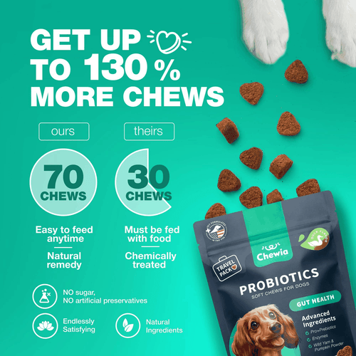 Probiotics for Dogs Support Gut Health Immunity Yeast Balance Itchy Skin - Picture 6 of 9