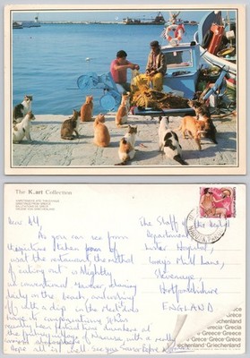 X02676 Katzen warten auf Fische vom Fischerboot Griechenland Postkarte 1987 Stempel