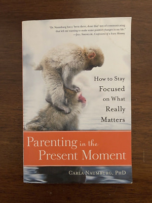 Parenting in the Present Moment by Carla Naumburg, PhD Paperback Parallax Press
