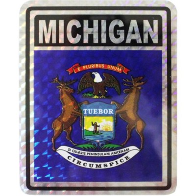 State of Michigan Flag Reflective Decal Bumper Sticker | eBay