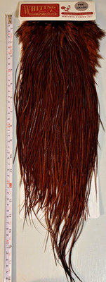 Whiting Midge Sizes, Rooster Saddle, White Dyed Coachman Brown, Pro Grade