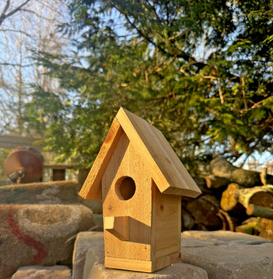 Handmade Cedar Birdhouse w/ Chimney Rustic Outdoor Wren Chickadee Nest Box