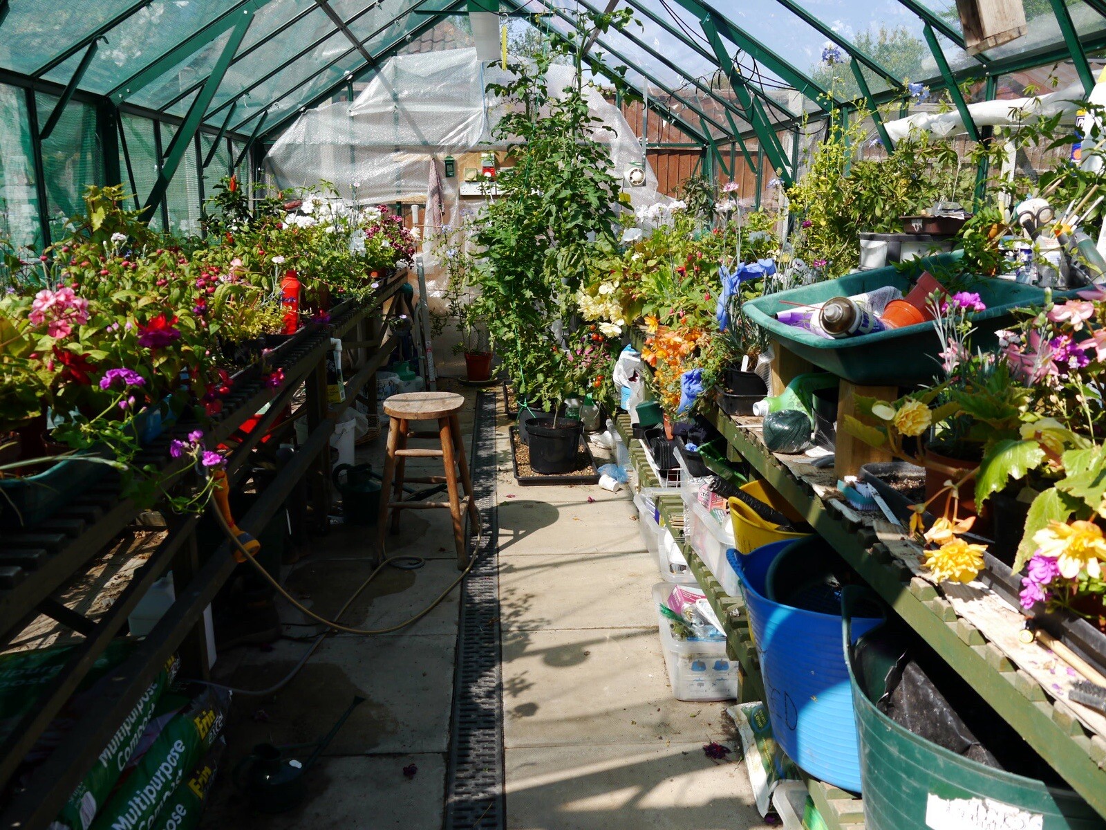 used greenhouses for sale eBay