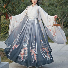Traditional Chinese Woman Costume Elegant Embroidery Hanfu Robe Ming Dynasty