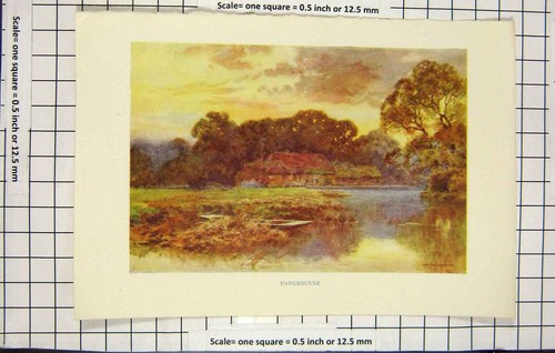 Original Old Antique Print Colour View Pangbourne House Trees Lake