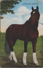 Whirlaway Winner 1941 Kentucky Derby KY Ben Jones Trainer Postcard