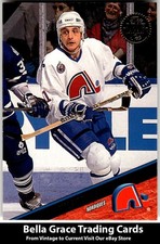 1993-94 Leaf Valeri Kamensky #207 Quebec Nordiques NHL Hockey