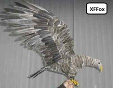 big simulation gray foam feather wings eagle model bird gift about 45x90cm