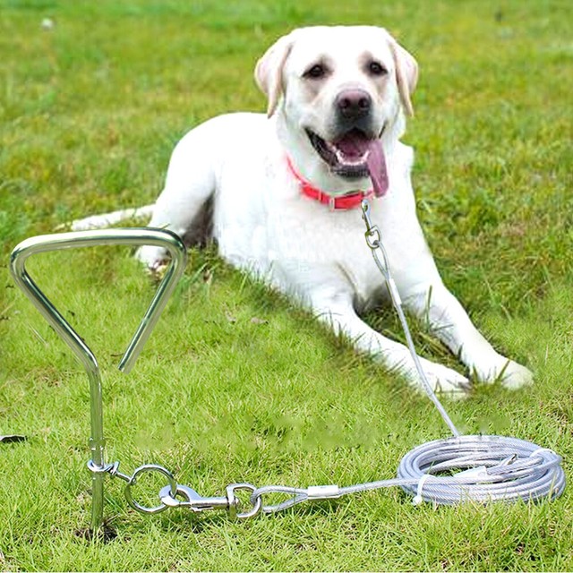 10/16/32FT Large Dog Tie Out Cable Leash Wire Metal Chain Dog Lead Up