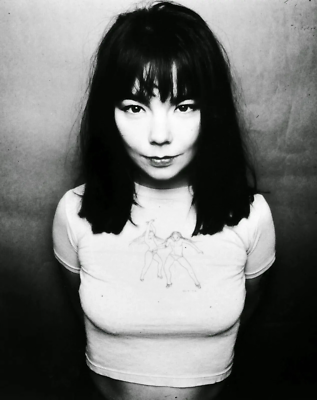 Bjork Photo Poster 11.7x16.5 | eBay