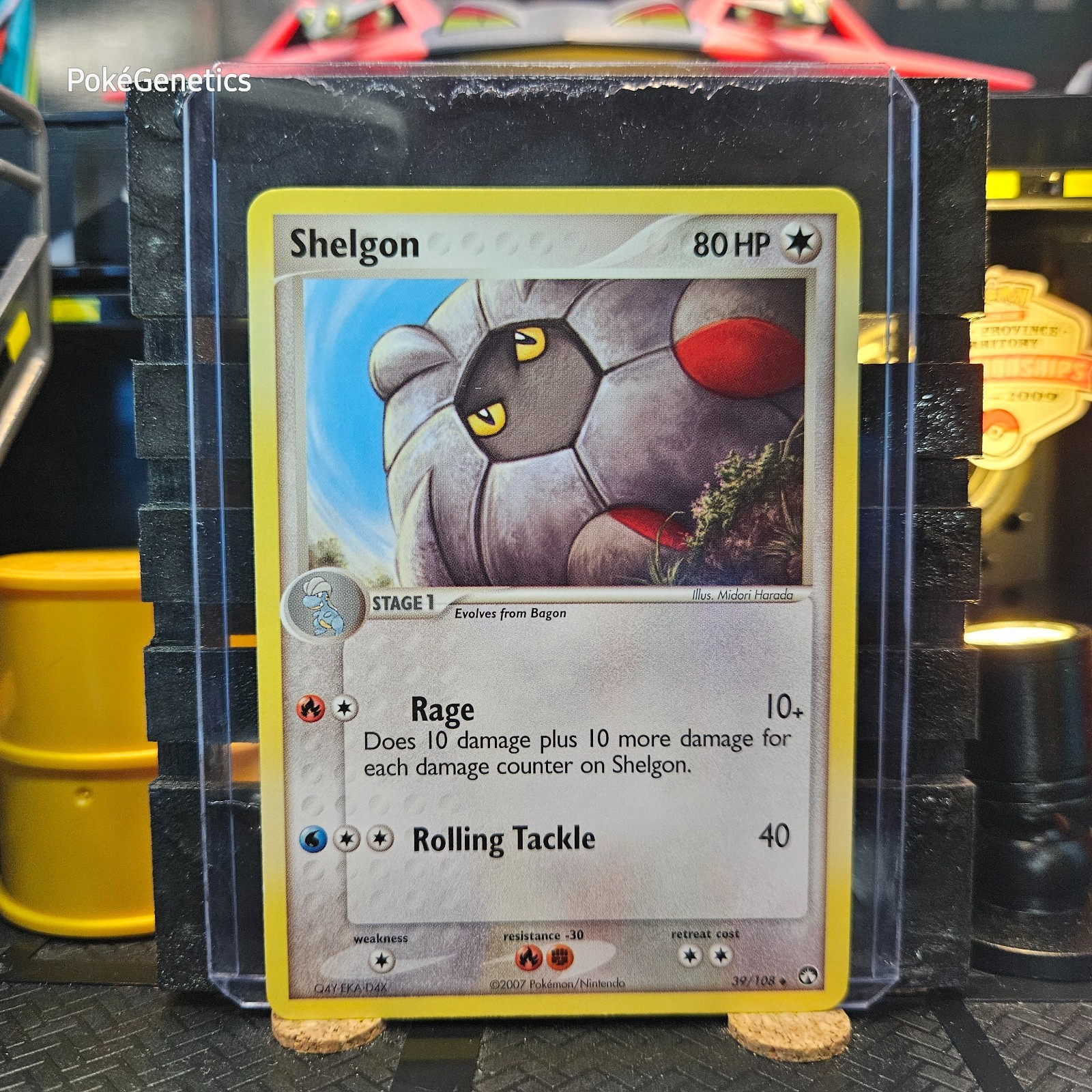 Shelgon Ex Power Keepers Pokémon TCG 39/108 Uncommon