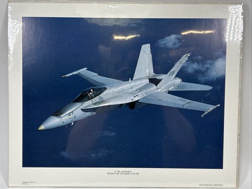 Power Graphics Poster - F-18 Hornet McDonnell Douglas F/A-18 015 20"x16" - Picture 1 of 1