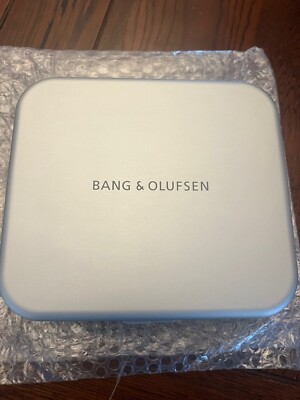 Bang & Olufsen BeoPLay H95 Case Aluminium Hardcase Koffer Grey Mist B&O Beo 