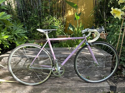 Condor Classico Pink 46cm *Read Description* UK