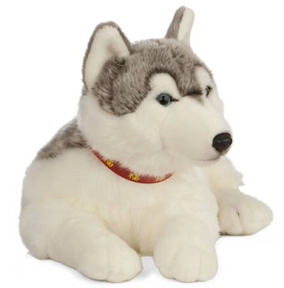 Peluche Husky Fluffy