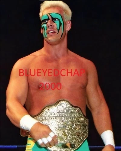 貴重！1点モノ　WWE WCW TNA　新日　スティング　コスチュームカスタム Sting Wrestling Photos for sale | eBay